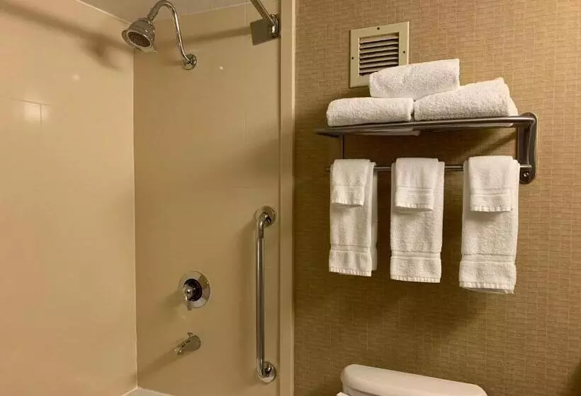 Deluxe-huone King-vuode, Holiday Inn Johnstown Downtown, An Ihg