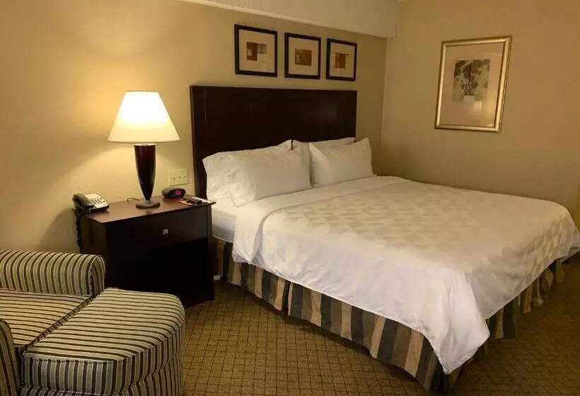 Standard-invahuone King-vuode, Holiday Inn Johnstown Downtown, An Ihg