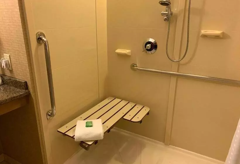 Standard-invahuone King-vuode, Holiday Inn Johnstown Downtown, An Ihg