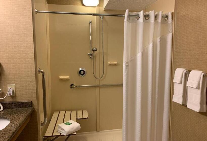 身障者適用キングサイズベッドルーム, Holiday Inn Johnstown Downtown, An Ihg