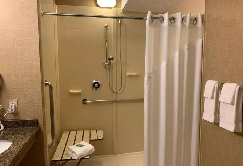 Standard-invahuone King-vuode, Holiday Inn Johnstown Downtown, An Ihg