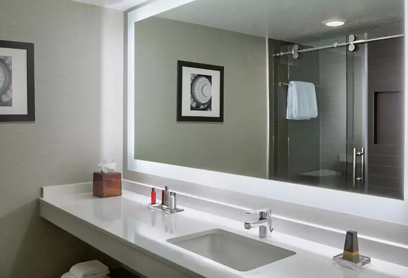 スイート, Houston Marriott South At Hobby Airport