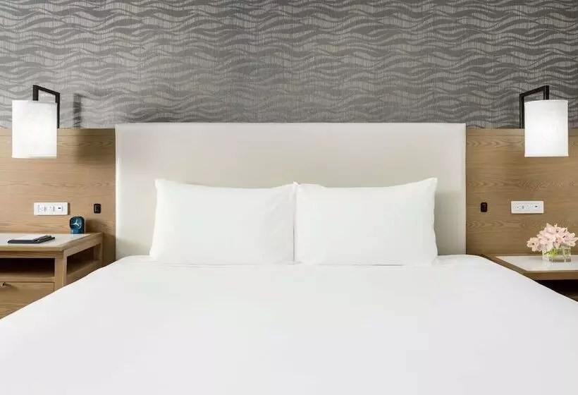 ダブルベッドスタンダードルーム, Hyatt Regency Bethesda Near Washington D.c