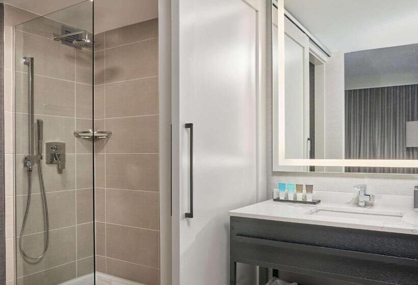 اتاق استاندارد با تخت بزرگ, Hyatt Regency Deerfield