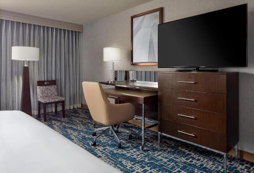 스탠다드 룸 킹사이즈 침대, Hyatt Regency Dfw International Airport