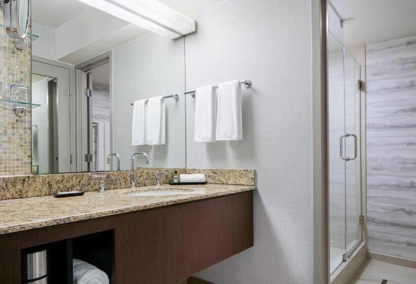 스탠다드 룸 킹사이즈 침대, Hyatt Regency Dfw International Airport