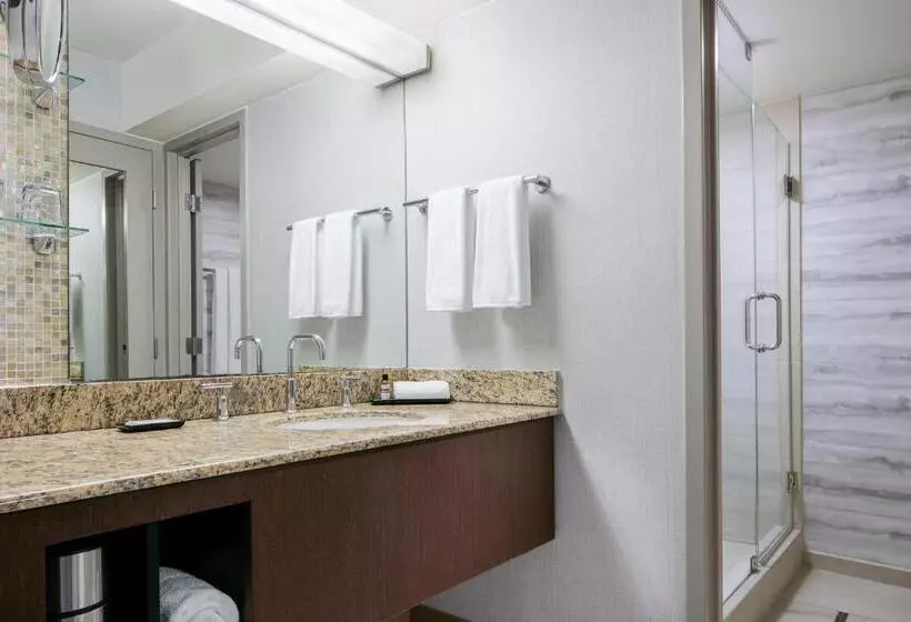 身障者適用キングサイズベッドルーム, Hyatt Regency Dfw International Airport