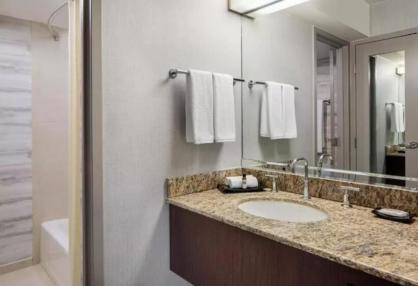 クイーンサイズベッドのスタンダードルーム, Hyatt Regency Dfw International Airport