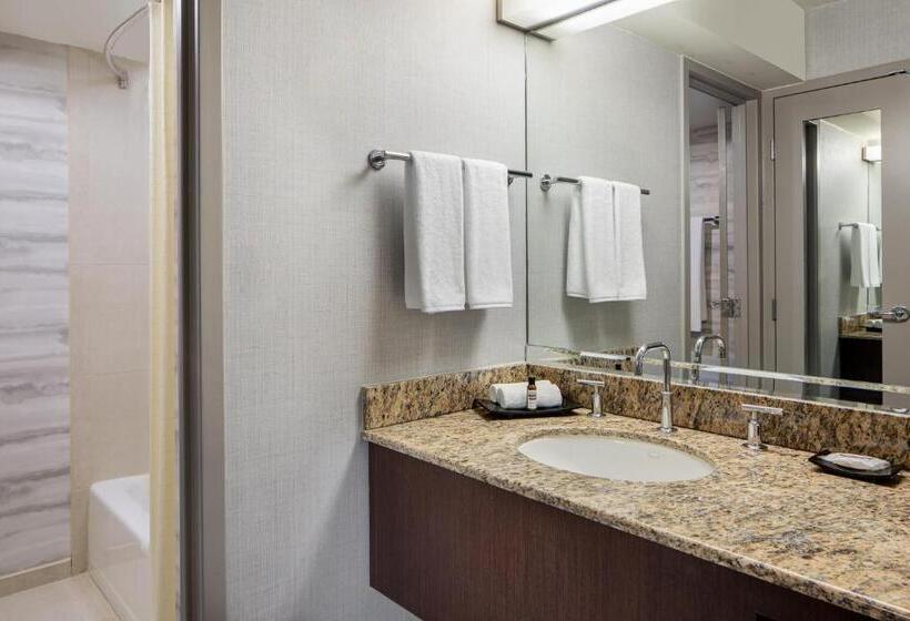 스탠다드 룸 수피리어 층, Hyatt Regency Dfw International Airport