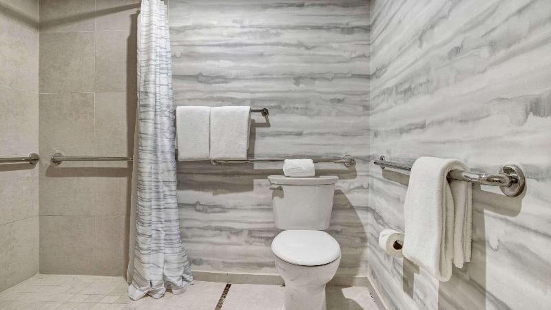 스탠다드 룸 킹사이즈 침대, Hyatt Regency Dfw International Airport