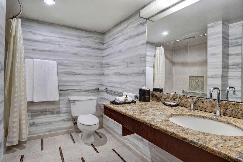 스탠다드 룸 킹사이즈 침대, Hyatt Regency Dfw International Airport