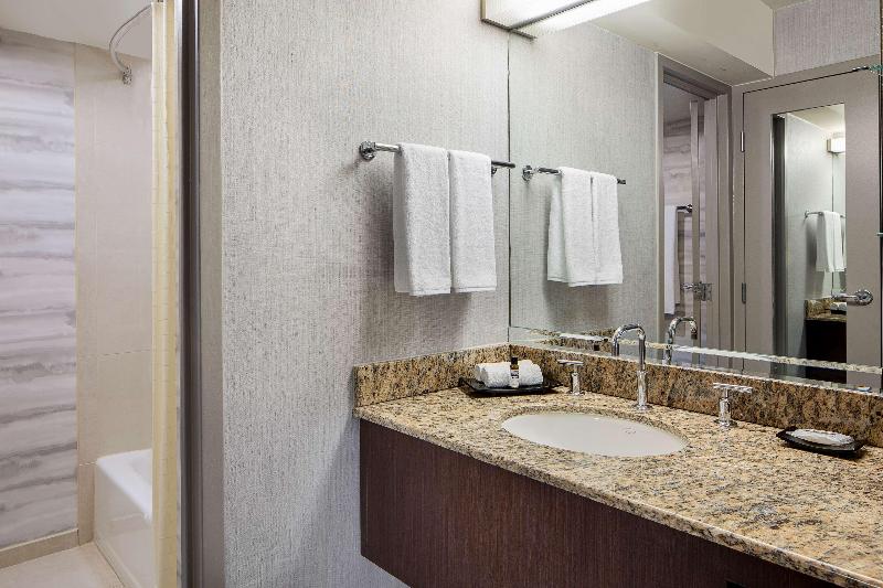 스탠다드 룸 킹사이즈 침대, Hyatt Regency Dfw International Airport