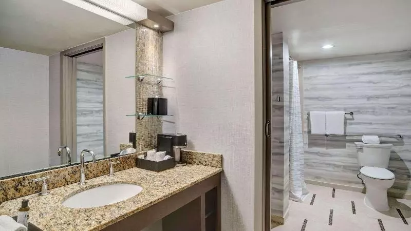クイーンサイズベッドのスタンダードルーム, Hyatt Regency Dfw International Airport