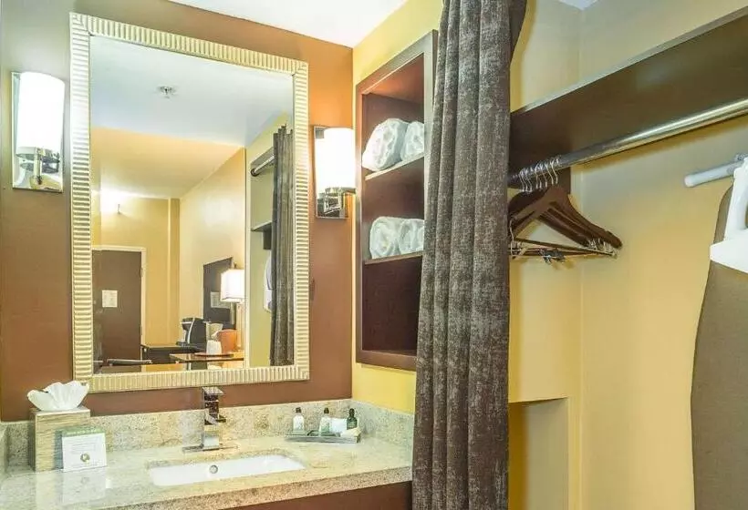 Standard-huone King-vuode, Inn At The Peachtrees, Ascend Hotel Collection
