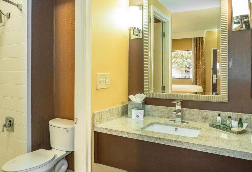 Quarto Estandar Cama King para Deficientes Físicos, Inn At The Peachtrees, Ascend Hotel Collection