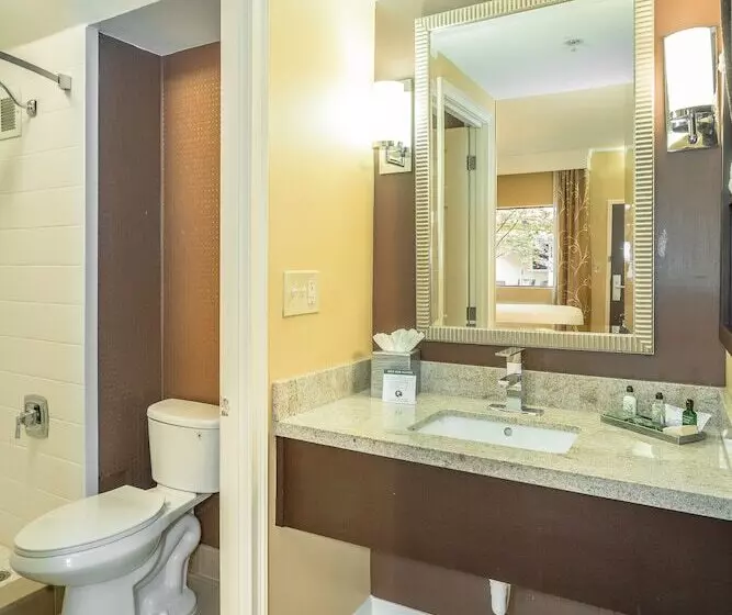 Standard-huone 2 Parivuodetta, Inn At The Peachtrees, Ascend Hotel Collection