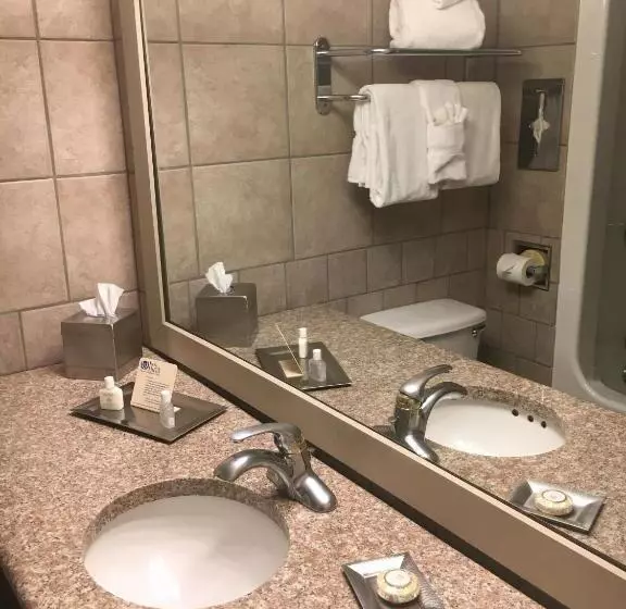 キングサイズベッドのスタンダードルーム, Inn Of The Hills Hotel And Conference Center