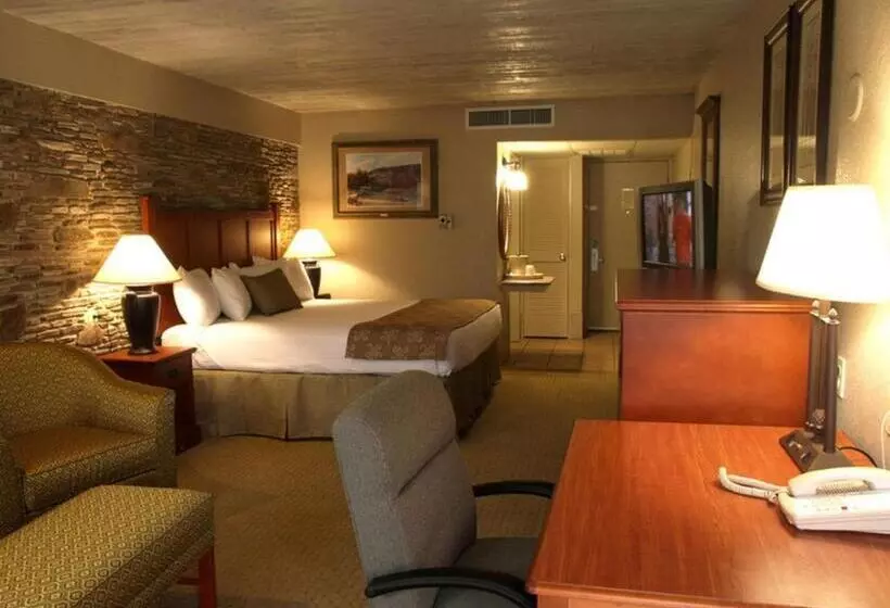 キングサイズベッドのスタンダードルーム, Inn Of The Hills Hotel And Conference Center