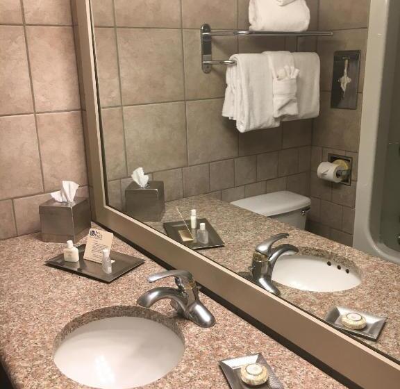 חדר סטנדרט נוף לבריכה, Inn Of The Hills Hotel And Conference Center