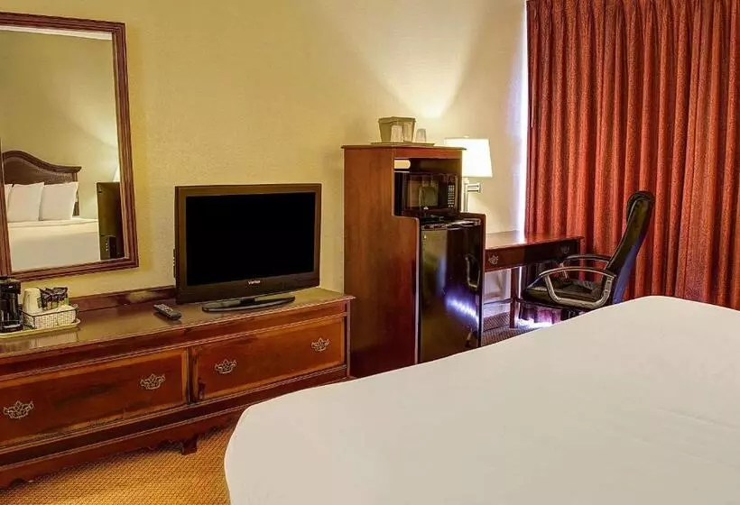 キングサイズベッドのスタンダードルーム, Quality Inn North
