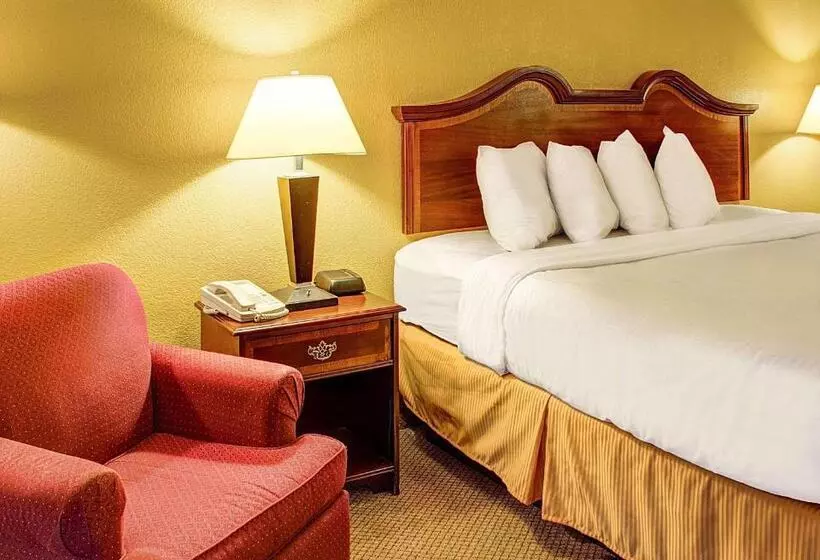 キングサイズベッドのスタンダードルーム, Quality Inn North