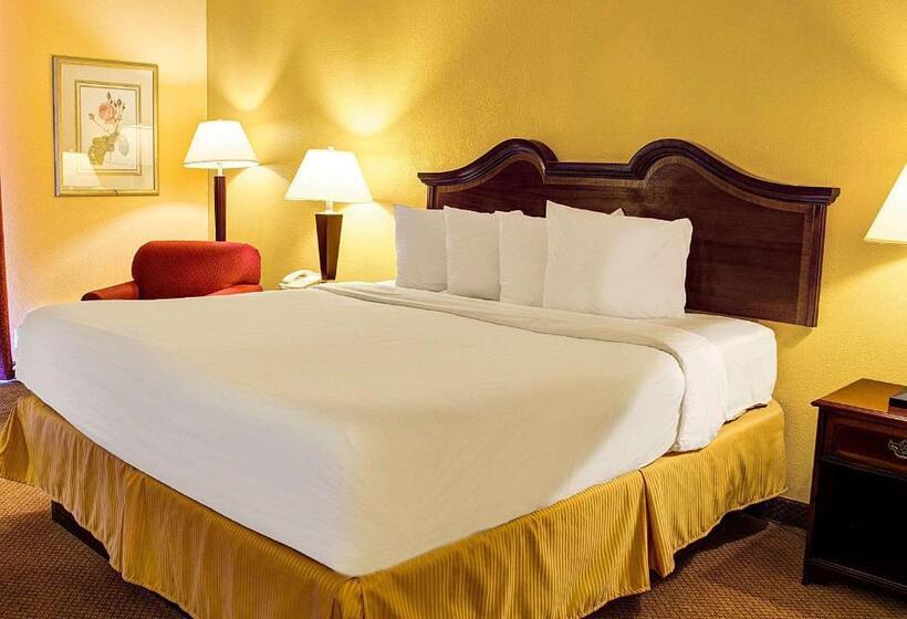 스탠다드 룸 킹사이즈 침대, Quality Inn North