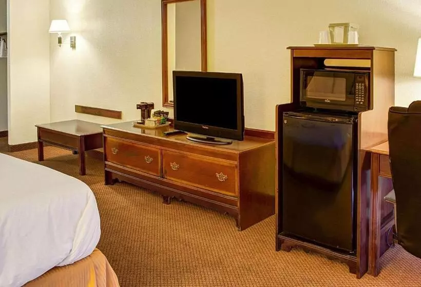 キングサイズベッドのスタンダードルーム, Quality Inn North