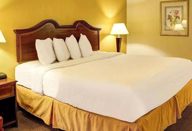 キングサイズベッドのスタンダードルーム, Quality Inn North