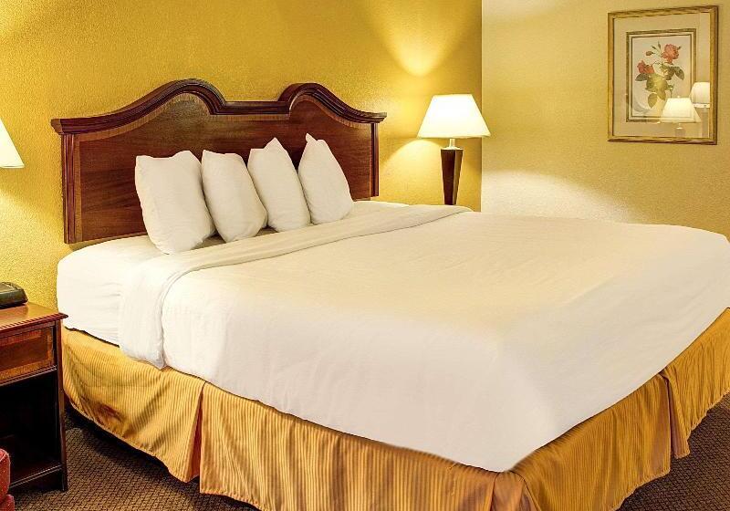 스탠다드 룸 킹사이즈 침대, Quality Inn North