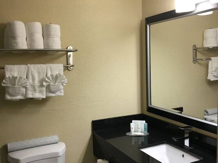 Номер бизнес-класса, Ramada Plaza By Wyndham Charlotte South End Airport