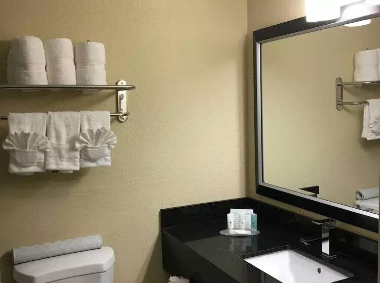 اتاق اجرایی, Ramada Plaza By Wyndham Charlotte South End Airport