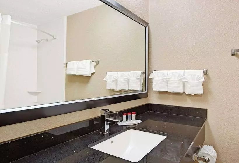 اتاق اجرایی, Ramada Plaza By Wyndham Charlotte South End Airport