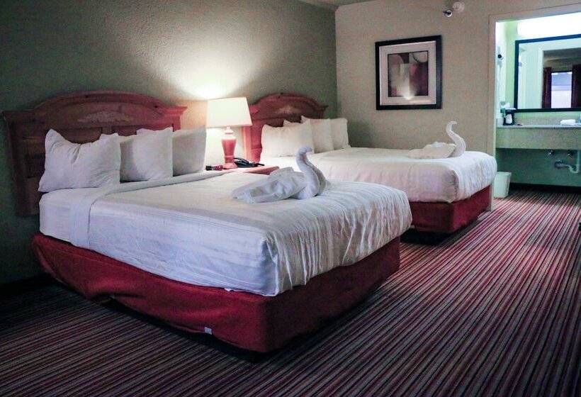 غرفة سوبيريور, Suite Dreams