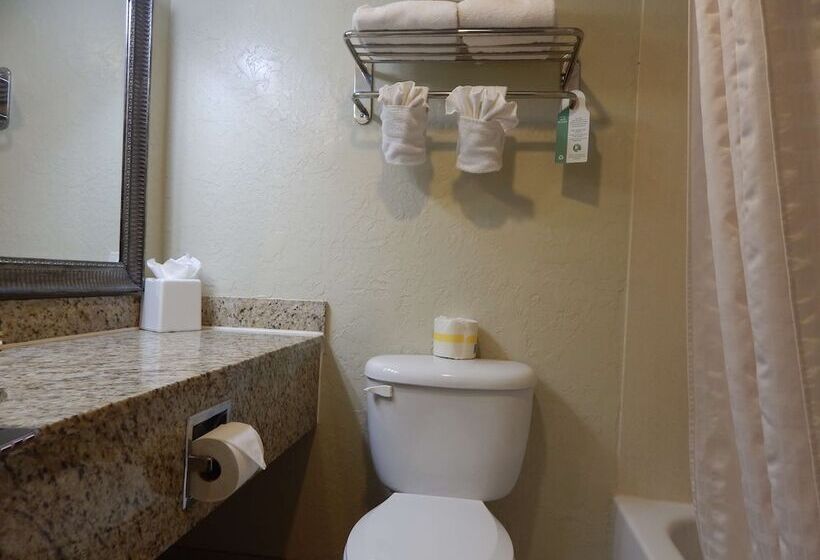 جناح, Surestay Plus Hotel By Best Western Lawton