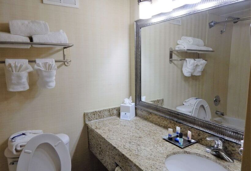 جناح, Surestay Plus Hotel By Best Western Lawton