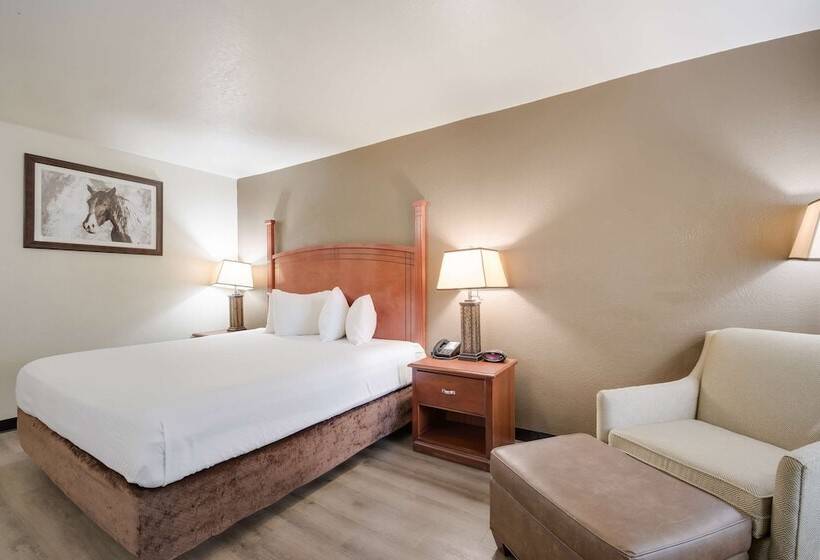 Люкс, Surestay Plus Hotel By Best Western Lawton