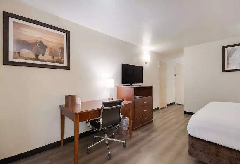 スイート, Surestay Plus Hotel By Best Western Lawton