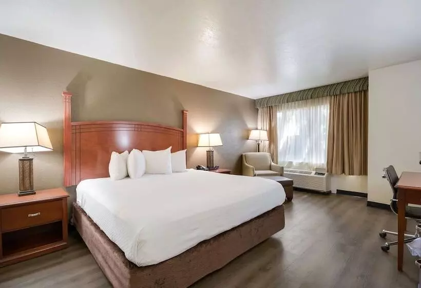 スイート, Surestay Plus Hotel By Best Western Lawton