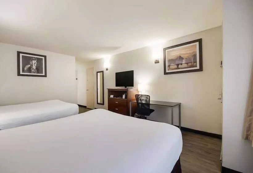 スイート, Surestay Plus Hotel By Best Western Lawton