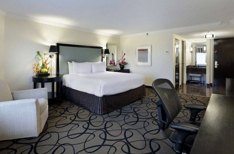 إستوديو قياسى سرير مزدوج, The Verve Hotel Boston Natick, Tapestry Collection By Hilton