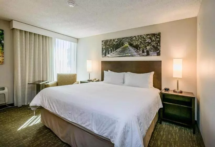 سوییت جونیور, Wyndham Garden Fresno Yosemite Airport