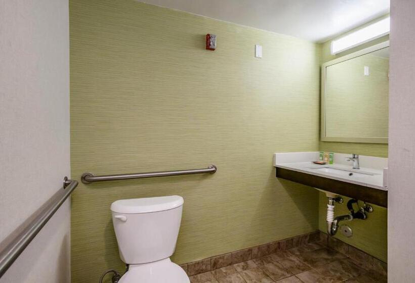 Номер Стандарт Адаптированный для Инвалидов, Wyndham Garden Fresno Yosemite Airport