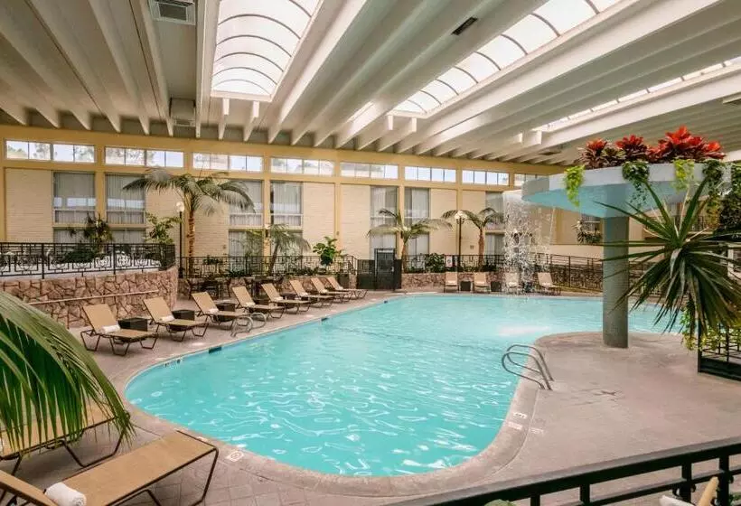 اتاق استاندارد, Wyndham Garden Fresno Yosemite Airport