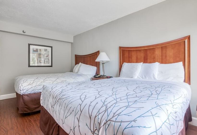 Standard Room 2 Double Beds