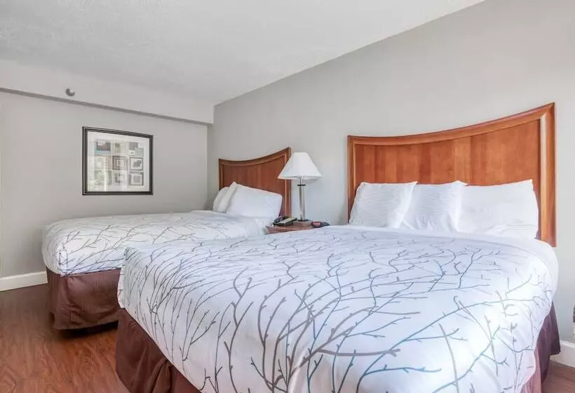 ２ダブルベッドのスタンダードルーム, Oyo Hotel Memphis Tn I-40