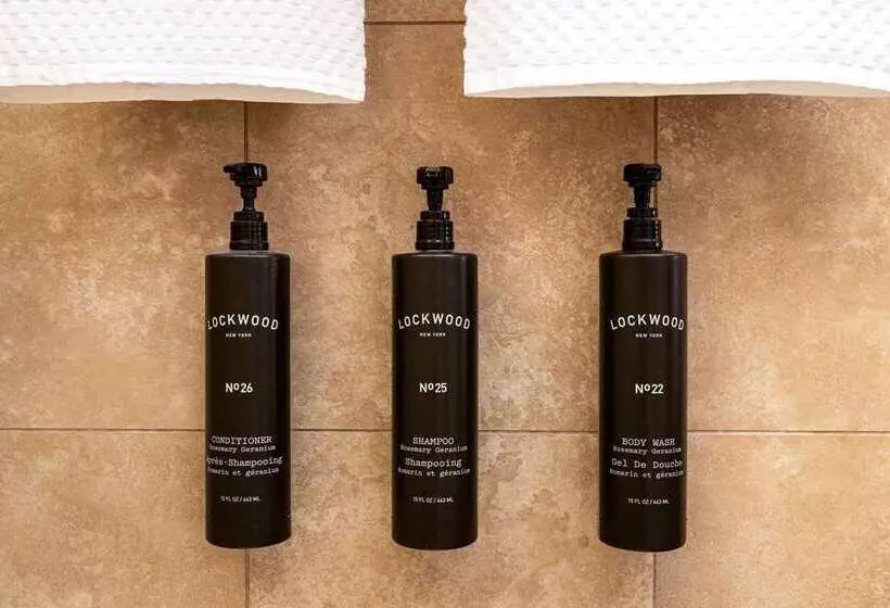اتاق استاندارد, The Verve Hotel Boston Natick, Tapestry Collection By Hilton
