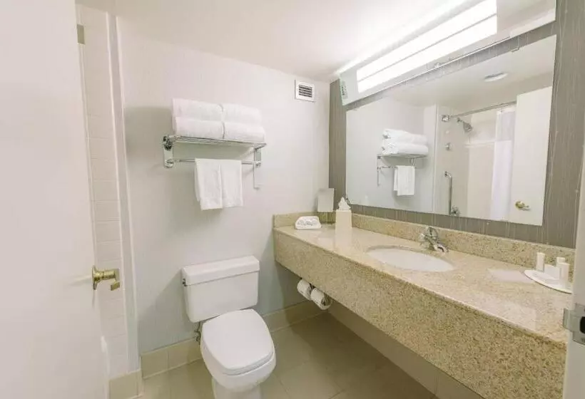 キングサイズベッドのスタンダードルーム, Courtyard By Marriott Nashua