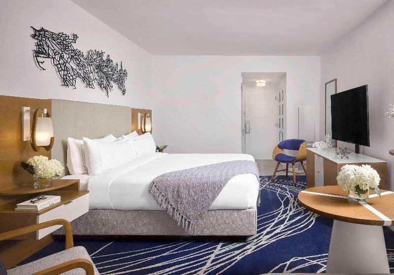 带大床的标准间, Hilton Fort Lauderdale Marina
