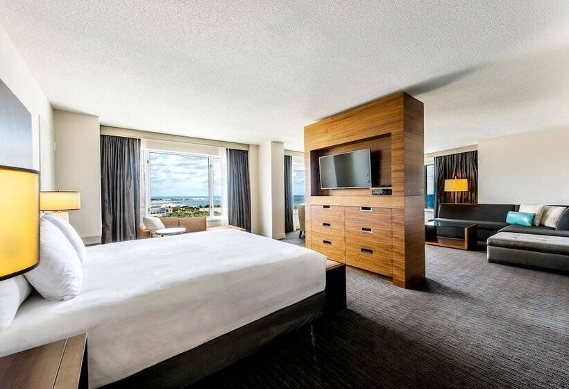 Suíte Executivo, Hyatt Regency Mccormick Place Chicago