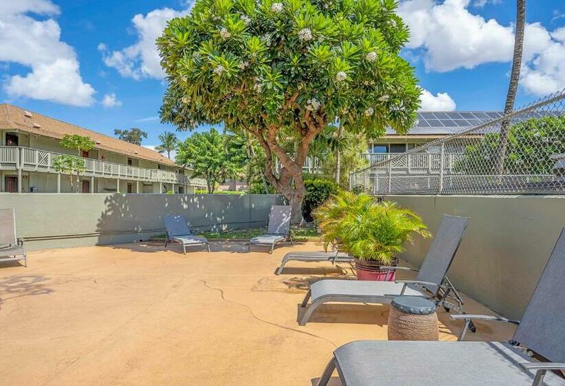 스탠다드 스튜디오, Kihei Bay Surf 236